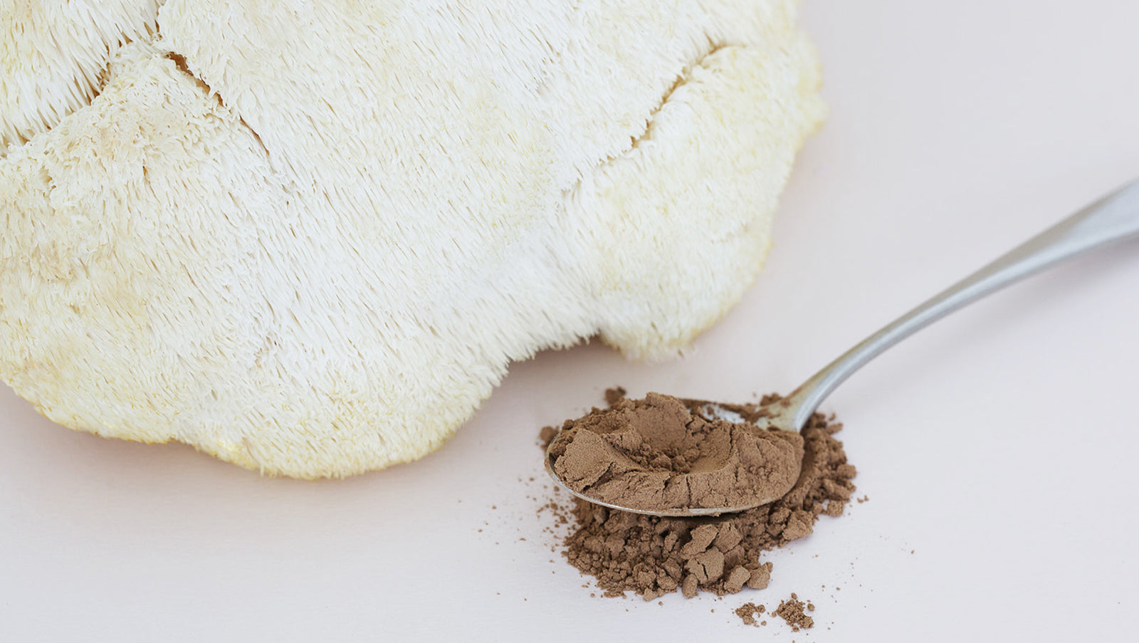 What To Look For When Buying Lion's Mane