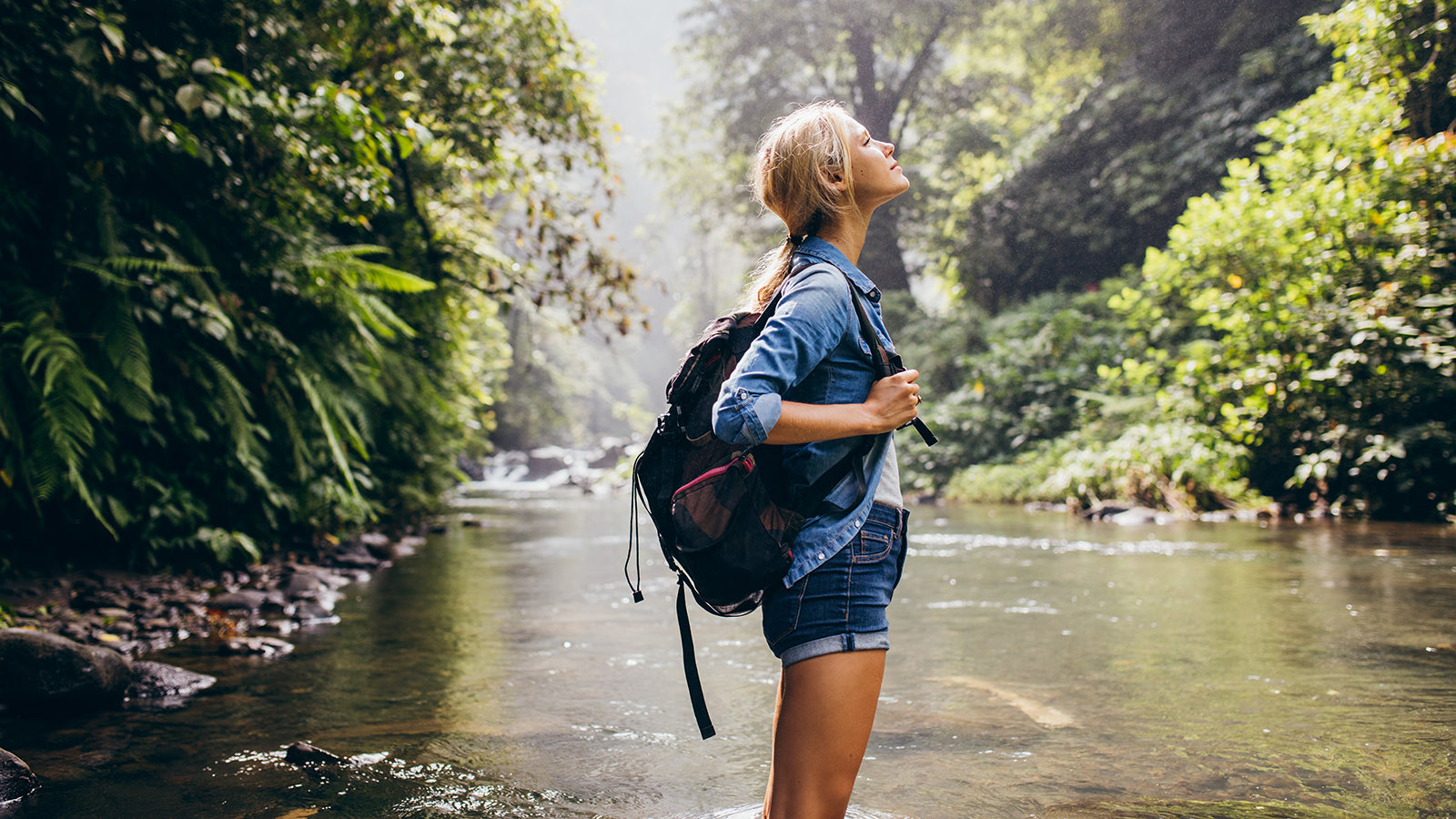 How Adaptogenic Mushrooms Help With Stress
