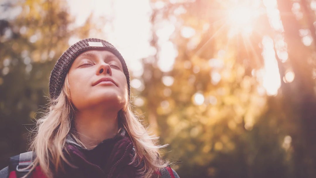 Medicinal Mushrooms - A Comprehensive Guide | doseology