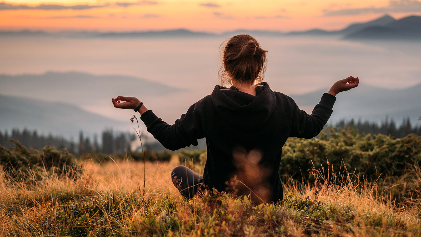 Mushrooms for Anxiety: Best Mushrooms for Easing Your Mind & Body