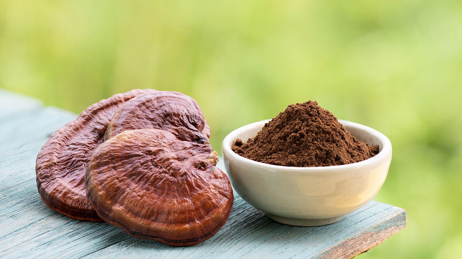 Reishi Mushroom Powder | doseology