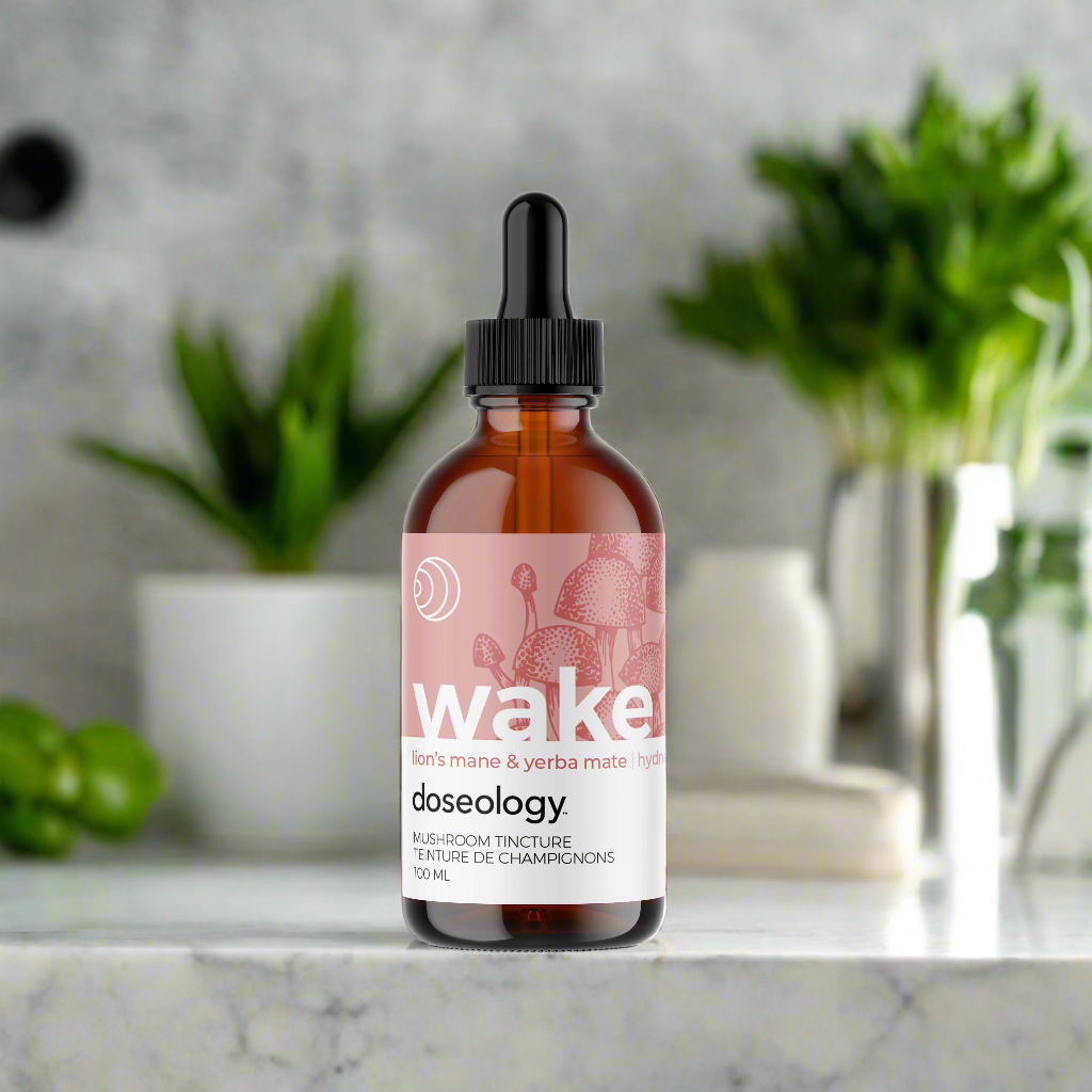 Wake, Lion's Mane & Yerba Mate Tincture